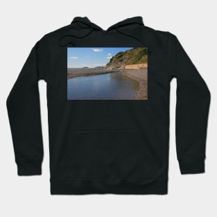 Seaton Beach and Looe Island, Cornwall, September 2021 Hoodie